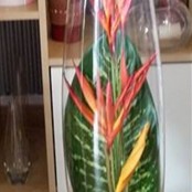 Tropical Vertical design 1 in bold colours (1470198381)