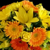 Bright and colourful arrangement (1470204251)